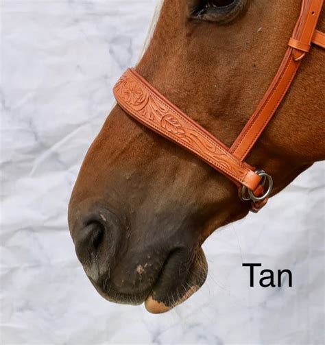 Pogo Western Bitless Bridle – Milestone Equestrian