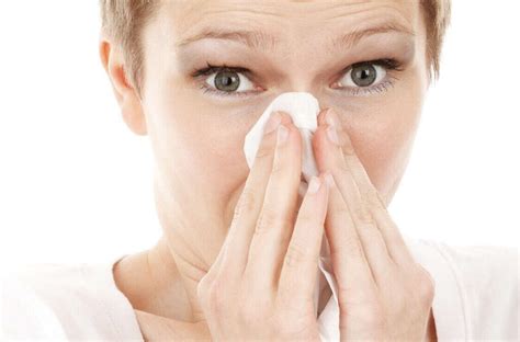 common cold    common cold