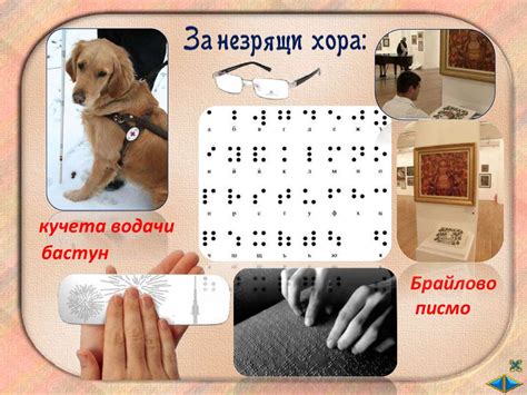 Човешкото тяло - презентация онлайн