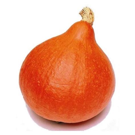 Pumpkin Uchiki Kuri