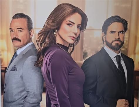 poster oficial de la telenovela guardian de mi vida