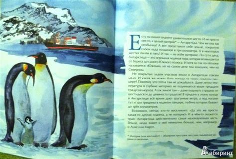 Книга: Антарктида - Федор Конюхов. Купить книгу, читать рецензии | Лабиринт