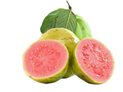 Guava PNG Images Transparent Free Download