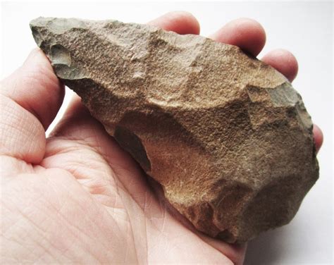 Homo Erectus Acheulean Bifacial Hand Axe North Africa Lower Paleolithic Minimum 1,200,000 to ...