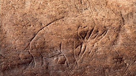 Ancient mammoth carving found in Florida | CBC News