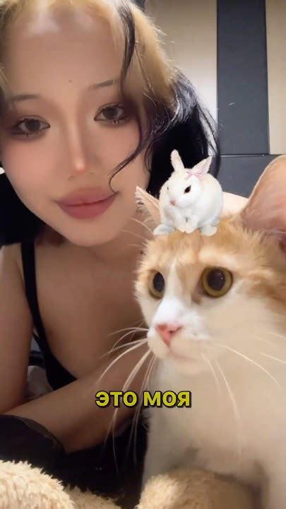 моя китайская кошка #китай #кот #кошка - YouTube