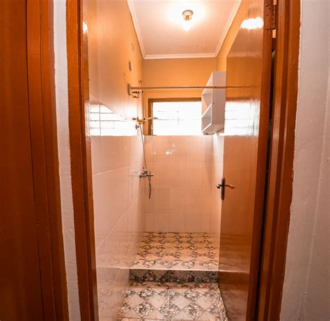 Veterinary & Animal Care Support | Volunteer in Ghana 2025