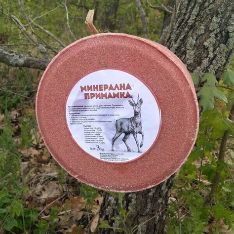 Минерална примамка за диви животни - Pushka.BG