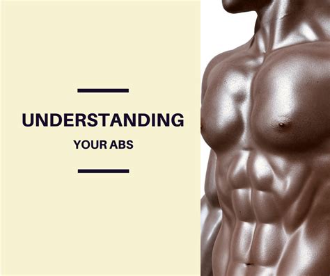 Understanding Your Abs | Your Body Best