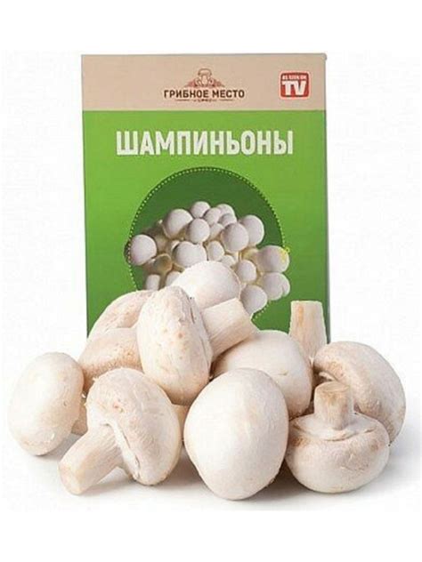 Выращивание шампиньонов: в домашних условиях для начинающих с фото ...
