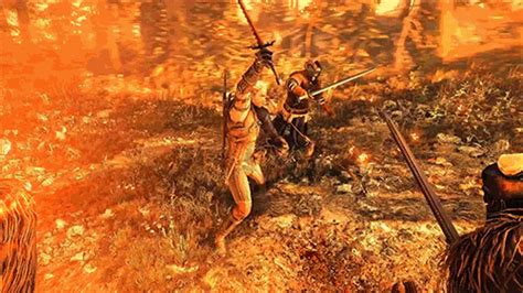 Link to a GIF that shows off a few seconds of unseen Witcher 3 footage ...