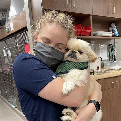 Family Pet Hospital in Sandy Springs, GA - Brookhaven Animal Hospital