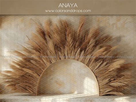 ANAYA, , (2025)