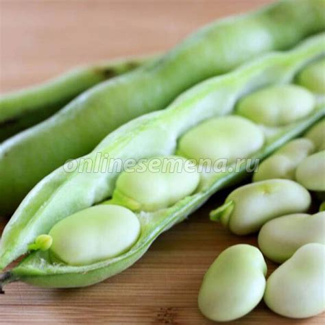 Бобы овощные Русские черные’ из каталога Семена овощей ПРОФИ – купить с ...