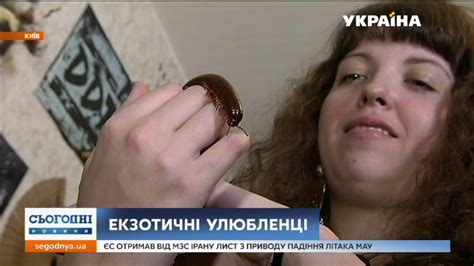 Екзотичні тварини: які незвичні улюбленці мешкають у київській квартирі ...