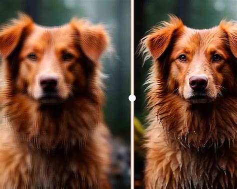 Como Mejorar la calidad de una foto online — LOQUEOPINO