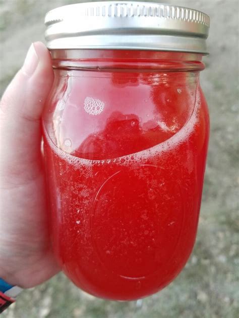 Watermelon Flavored Moonshine Recipe | Bryont Blog