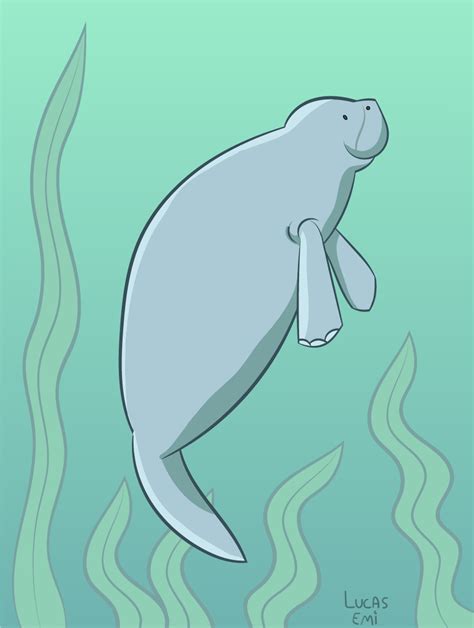manatee  lucasemi  newgrounds