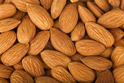 Amande photo stock. Image du nature, centrale, amandes - 13181896