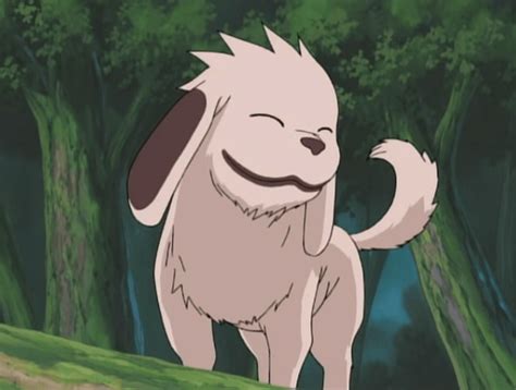 Akamaru Wallpapers - Wallpaper Cave