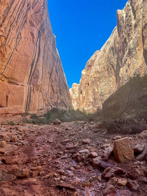 How to Hike the Grand Wash Trail - Capitol Reef National Park