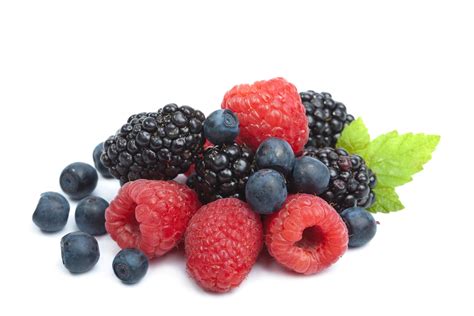 Wild Berry Flavor Concentrate - FroCup