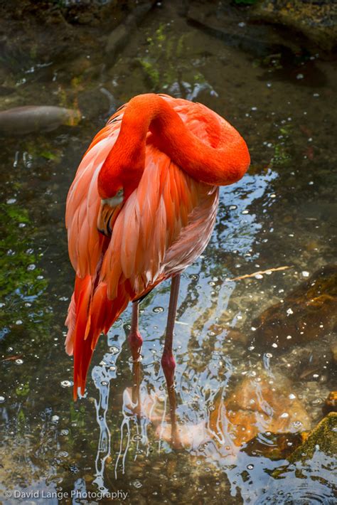 Key West Butterfly and Nature Conservatory on Behance