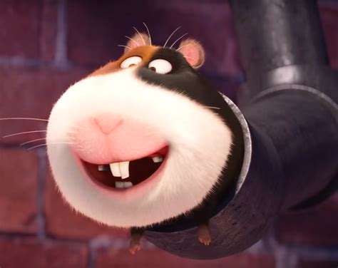 Norman (The Secret Life of Pets) | Universal Studios Wiki | Fandom