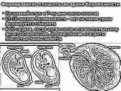 Степень зрелости плаценты по неделям: таблица норм при беременности ...