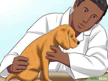 how to surrender a dog in oklahoma