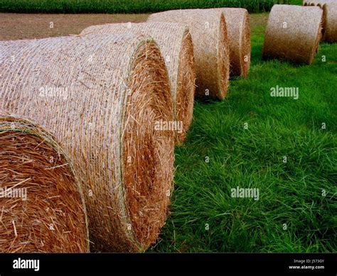 hay rollers  res stock photography  images alamy