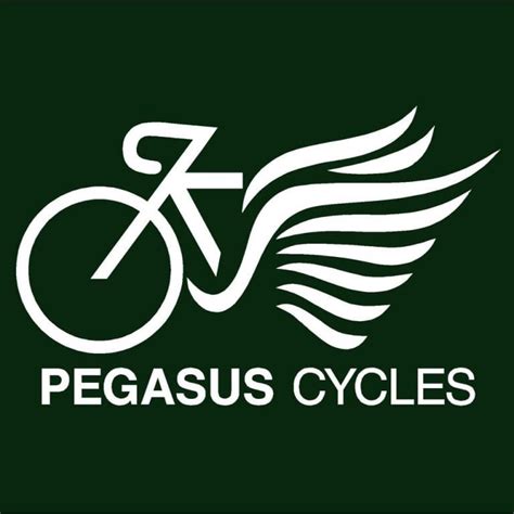 Pegasus Cycles – SLM Bicycle