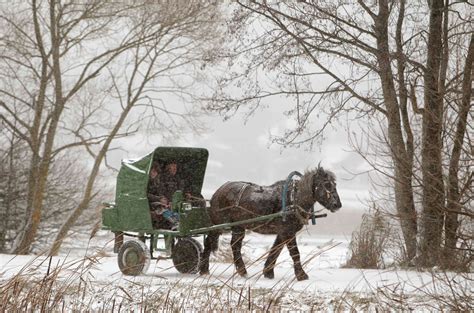 ФотоТелеграф » Снежный декабрь