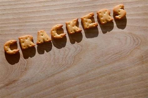 crackers logo stock  images  backgrounds