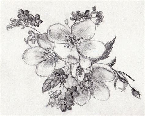Realistic Flowers Drawing at PaintingValley.com | Explore collection of ...