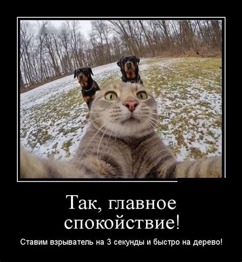 Новые смешные до слез демотиваторы 2018