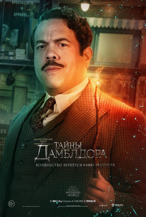Постеры: Фантастические твари: Тайны Дамблдора / Постер фильма ...