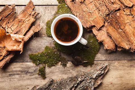 Como Fazer O Cha De Barbatimão - Chá de Barbatimão: 9 Benefícios, Como Fazer e Receitas - Culinária Simples