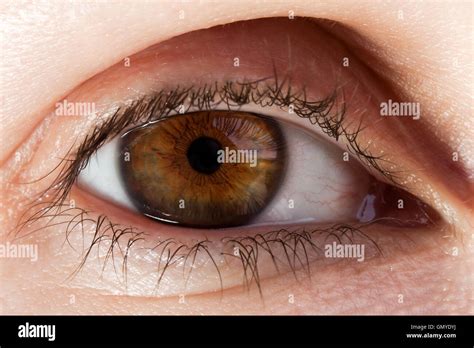 Human eye macro Stock Photo - Alamy