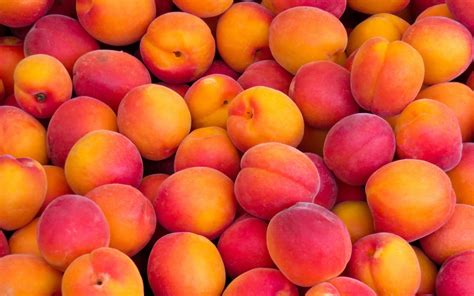 Peaches Peach Wallpaper Fruit Wallpaper Pattern Wallp - vrogue.co