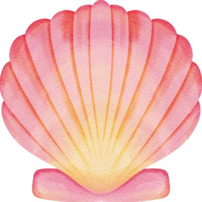 Concha Silueta PNG para descargar gratis