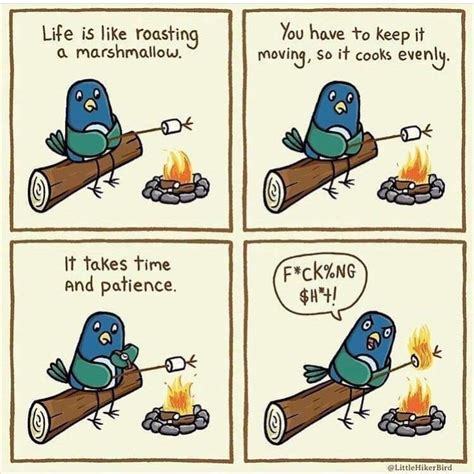 birb - Meme by Chelbell :) Memedroid
