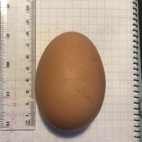 Huge chicken egg... : r/Different