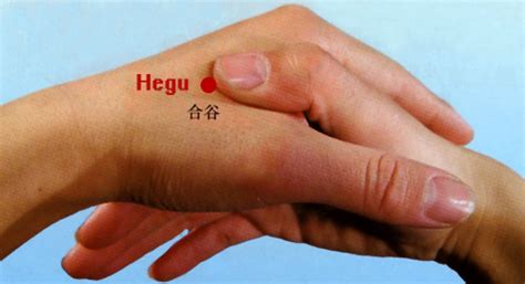 acupuncture point  frozen shoulder constipation hegu