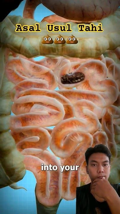 asal usul tahi nih science tahi poop edukasi youtube