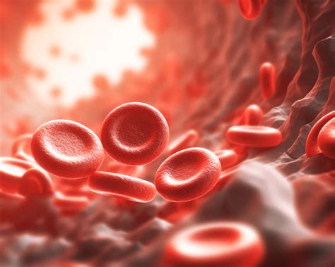 CASGEVY Is Durable in over 100 Patients, Editas’ Reni-cel Shows ...