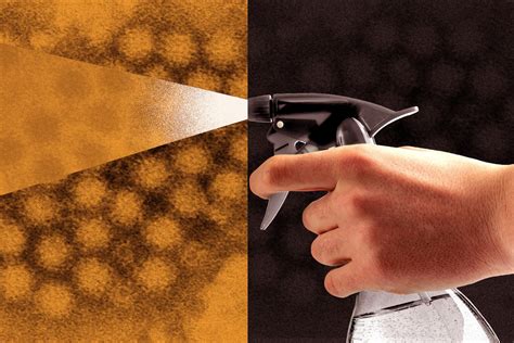 how to clean phone from norovirus