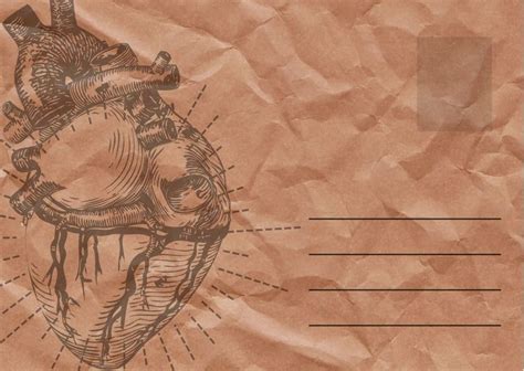 a drawing of a human heart on top of a piece of brown paper with lines