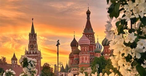Цветущая Москва | Пикабу