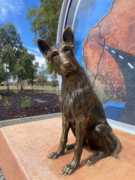 red dog sculpture  paraburdoo